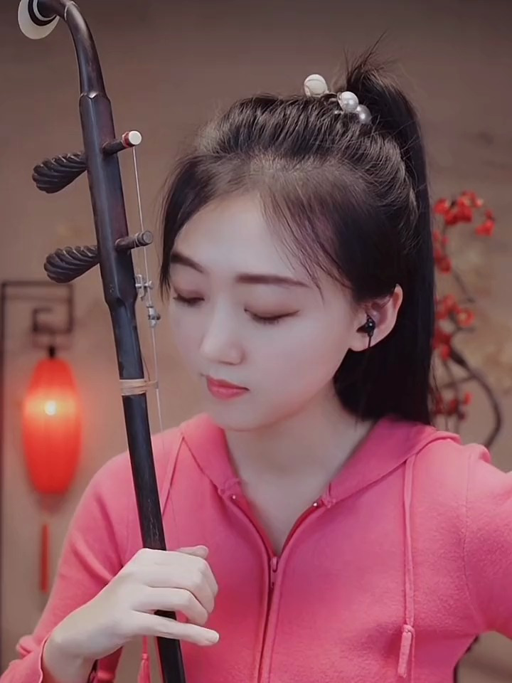 二胡独奏手机版二胡独奏曲mp3免费下载-第1张图片-太平洋在线下载