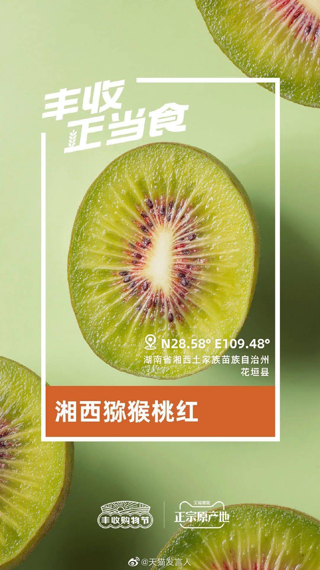 关于手机淘宝家乡版是什么意思的信息-第2张图片-太平洋在线下载