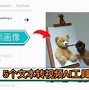 柚街苹果版进入iphone官网入口