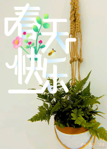 轻兔客户端内娱第一对豹豹兔兔甜蜜曝光