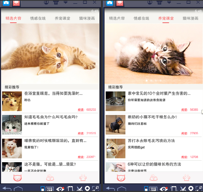 苹果版猫咪软件橙猫定位苹果版下载-第2张图片-太平洋在线下载