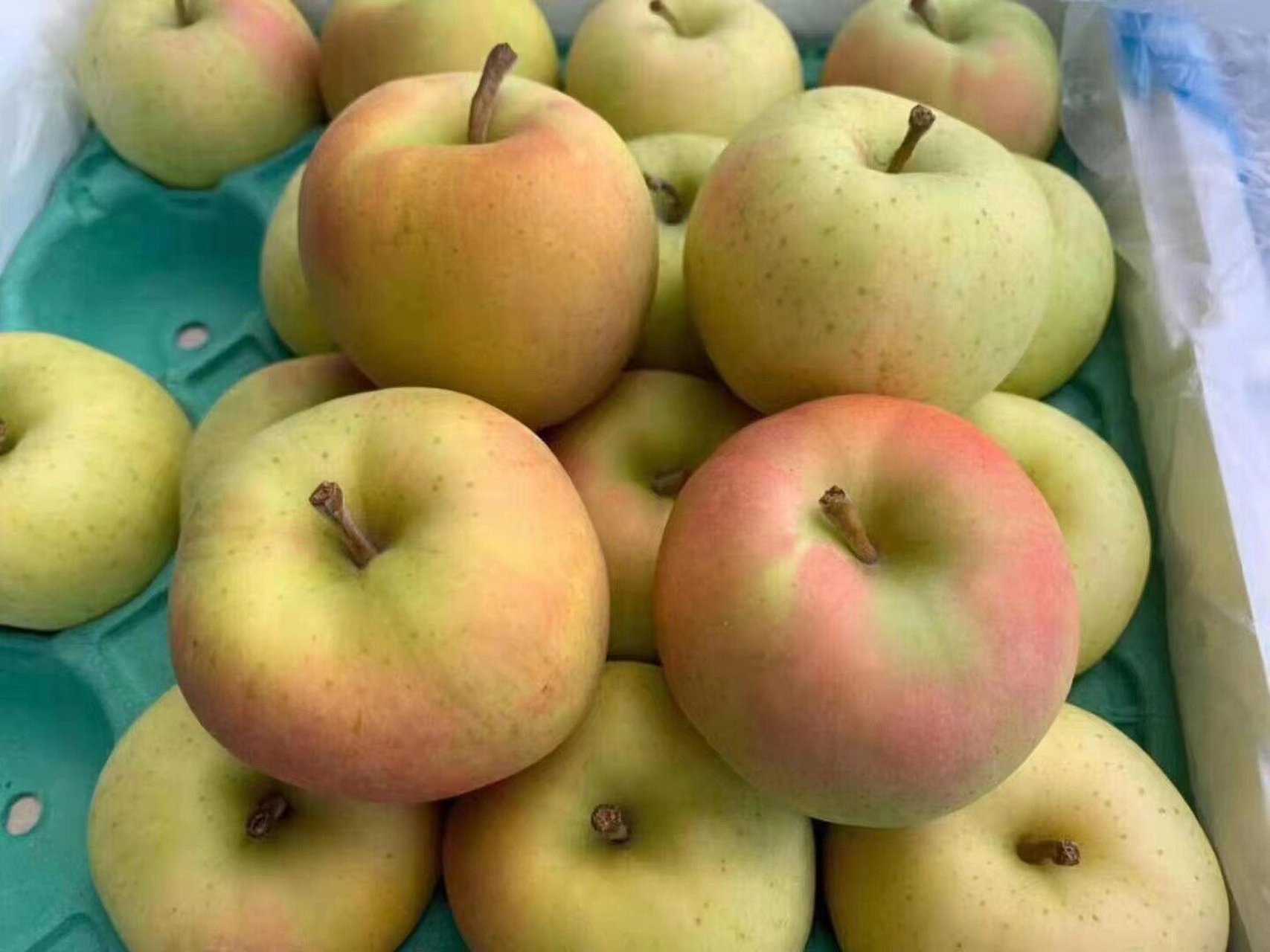 日本苹果国内版apple苹果日本官网入口